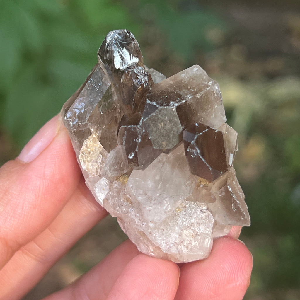 Cluster cuart fumuriu din Brazilia m12, pietre semipretioase - druzy.ro 2 