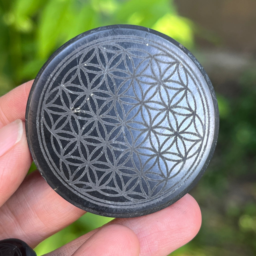 Disc din Shungit adeziv Flower of Life, pietre semipretioase - druzy.ro 8 