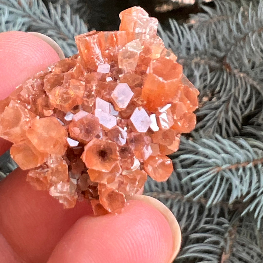 Cluster cristal aragonit din Maroc model 6, druzy.ro, pietre semipretioase 1