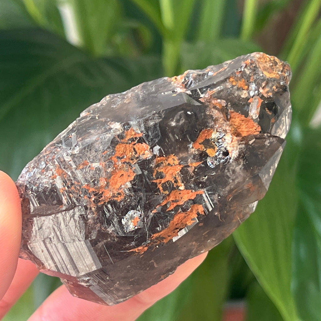 Cuart fumuriu generator/varf mina Brandberg | Model L13, pietre semipretioase - druzy.ro 2 