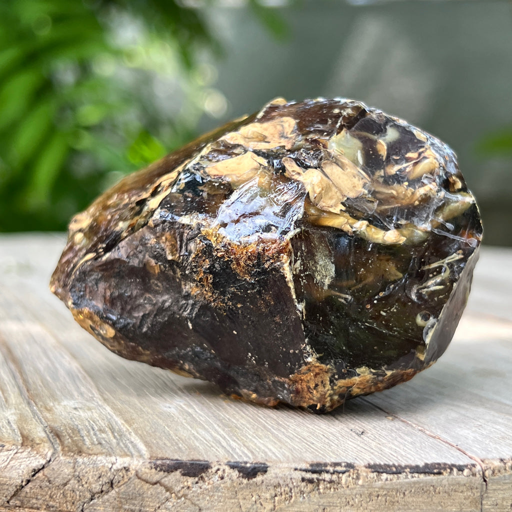 Chihlimbar fosil din Indonezia – Rășină naturală | Model 4, pietre semipretioase - druzy.ro 1 