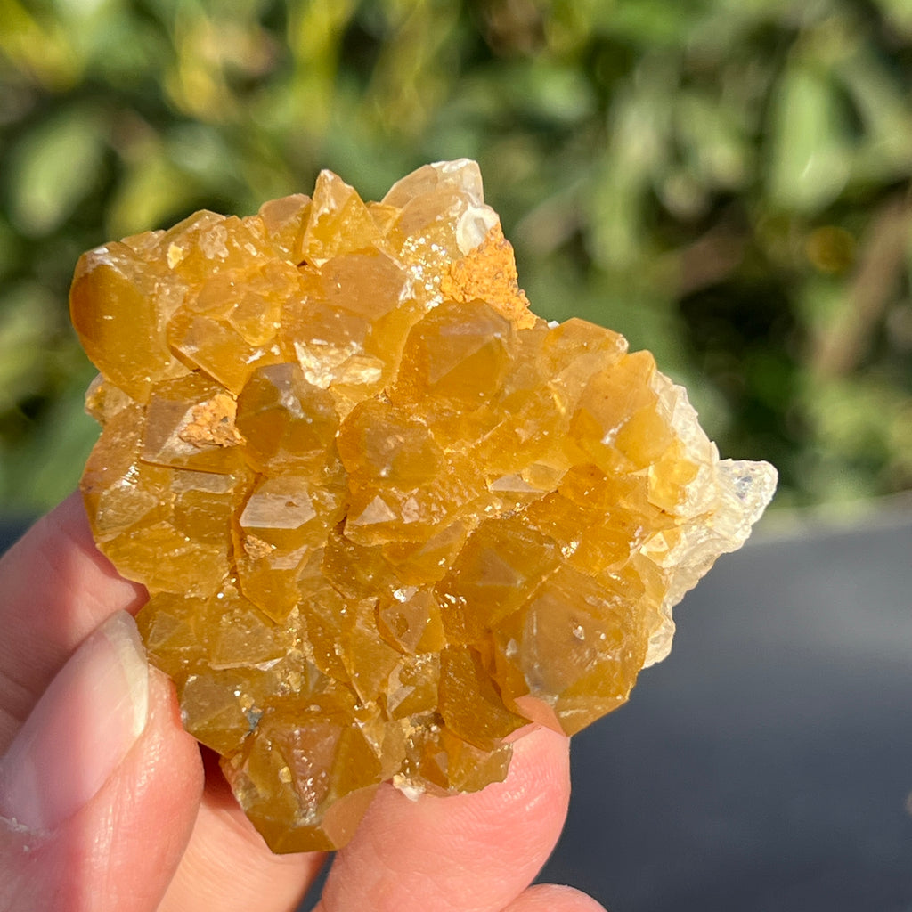 Cluster cuart lamaie Zambia, golden healer model 39, pietre semipretioase - druzy.ro 6 