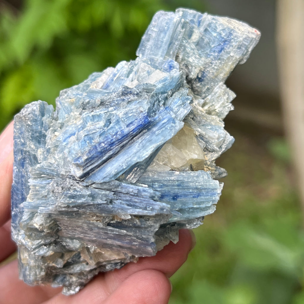 Kianit albastru (Cianit) piatra bruta din Zimbabwe model 13, pietre semipretioase - druzy.ro 1 