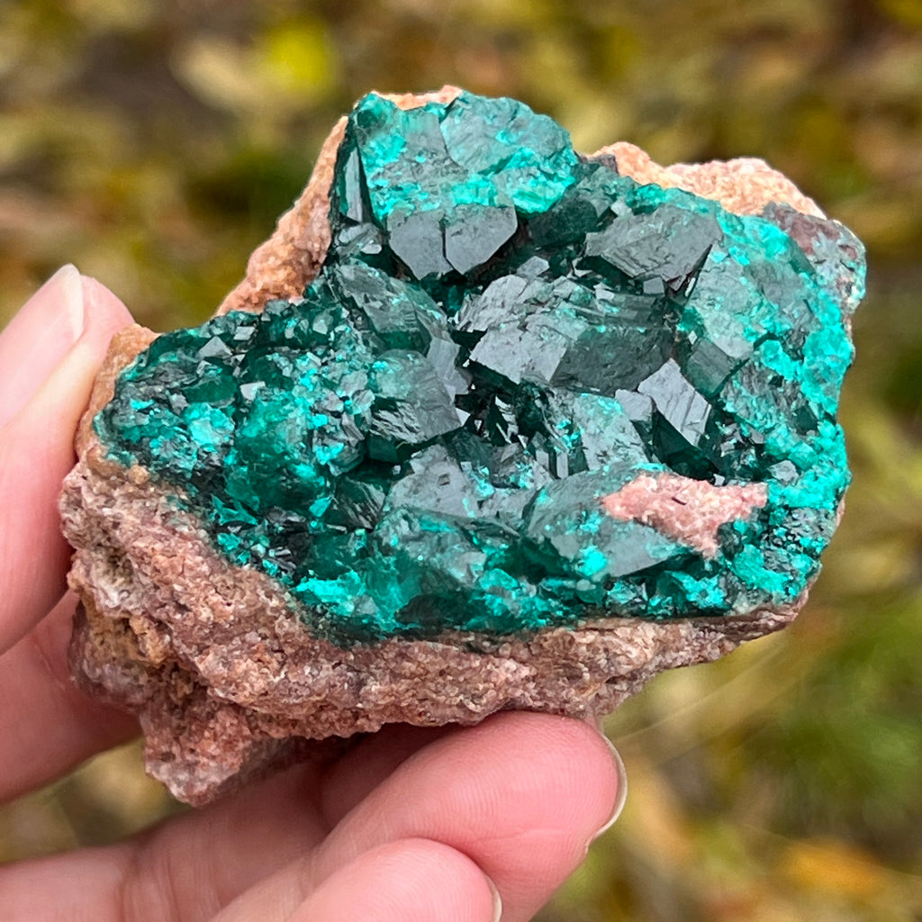 Dioptaz cluster din Congo model 2, pietre semipretioase - druzy.ro 10 