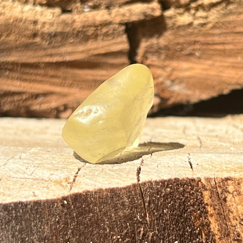 Tectita aurie, sticla desertului Libia piatra bruta model 1, calitate AAA, pietre semipretioase - druzy.ro 3 