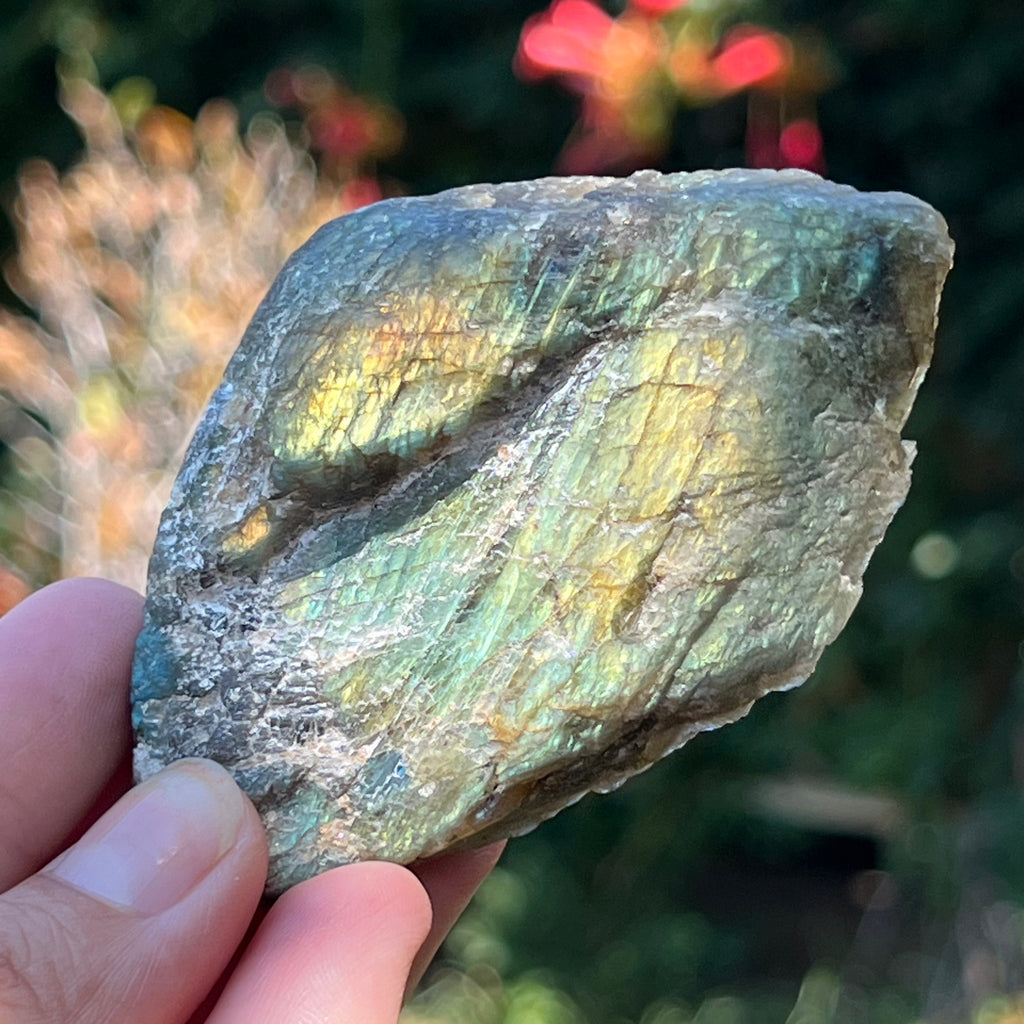 Labradorit piatra bruta polisata pe o fata m4, druzy.ro, cristale 3