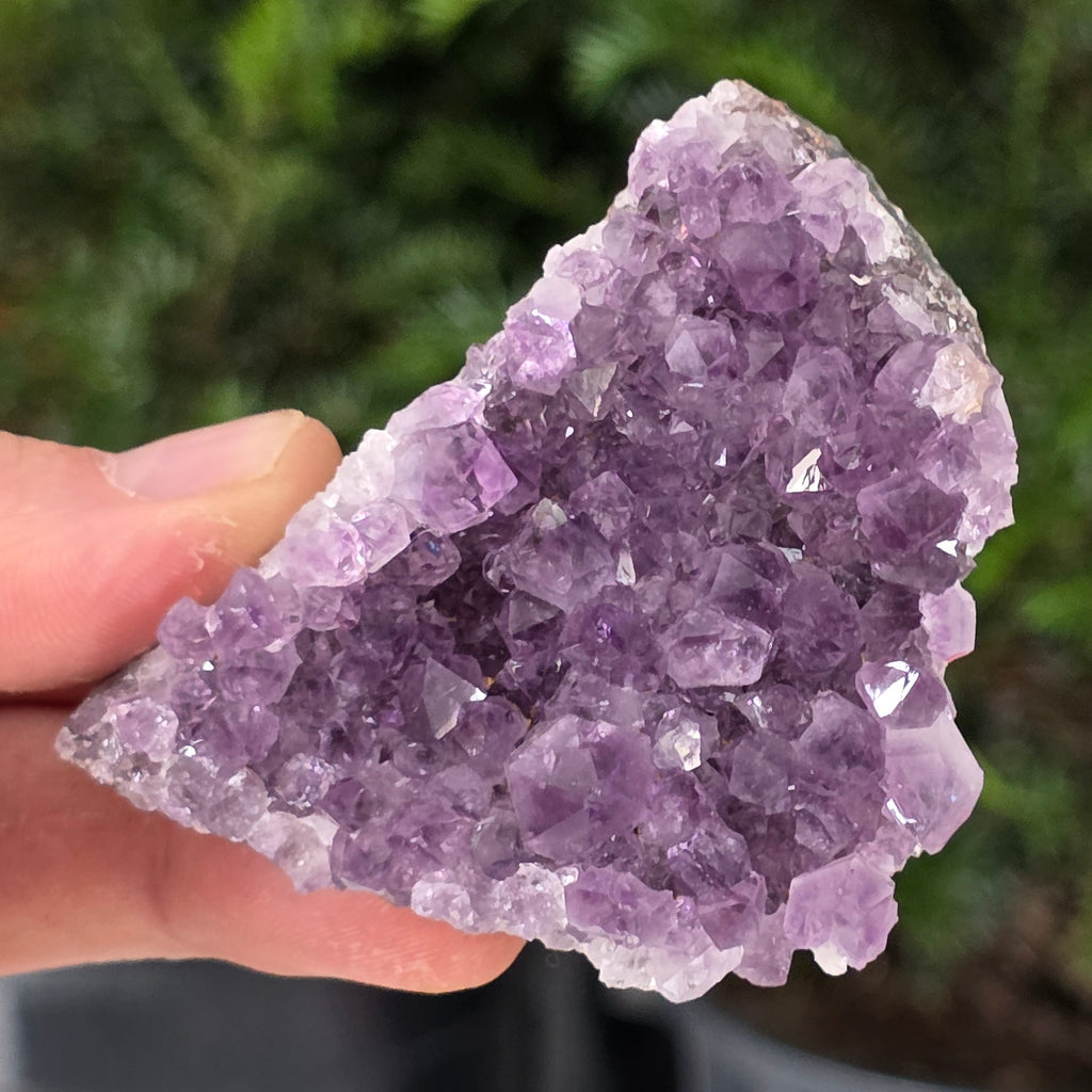 Cluster ametist model 24, pietre semipretioase - druzy.ro 2 