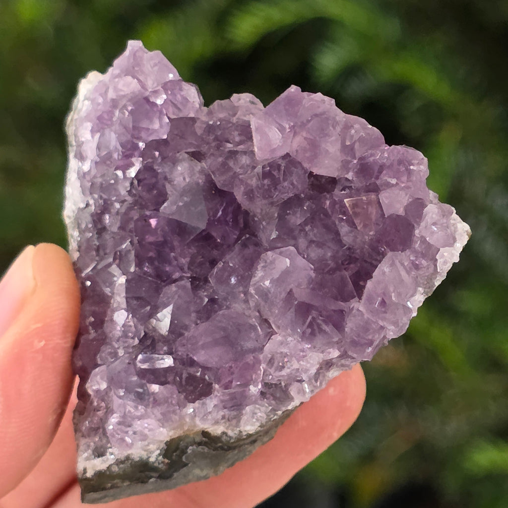 Cluster ametist model 9, pietre semipretioase - druzy.ro 5 