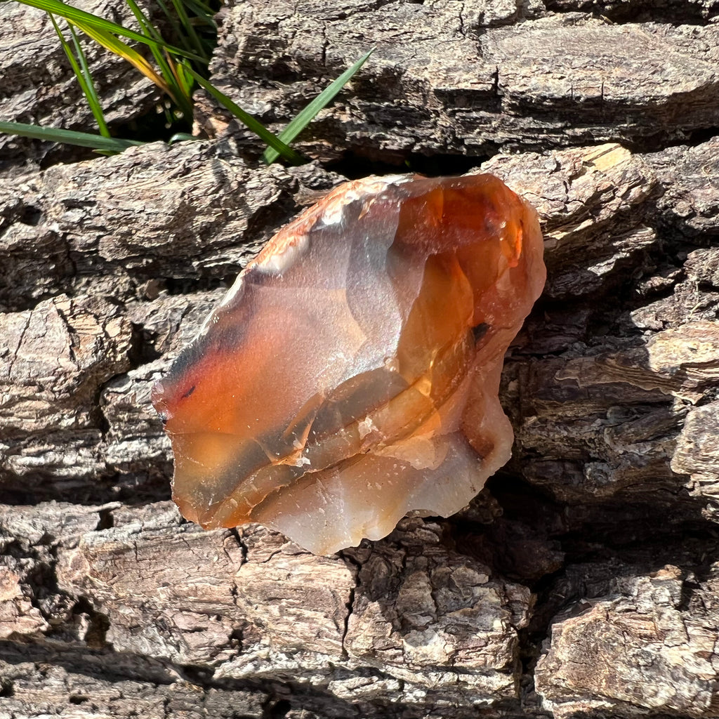 Carneol piatra bruta, druzy.ro, cristale 6